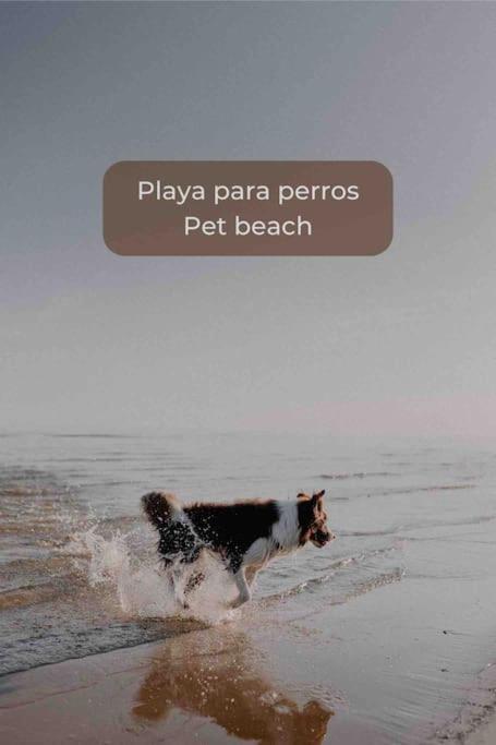 Lima Sorbet Nuevo Piscina Terraza Privada Y Wifi Appartamento *